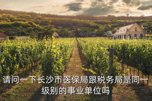 國(guó)稅局是什么醫(yī)保，請(qǐng)問(wèn)一下長(zhǎng)沙市醫(yī)保局跟稅務(wù)局是同一級(jí)別的事業(yè)單位嗎