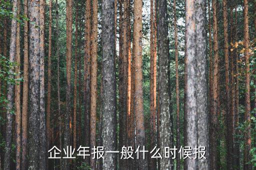財(cái)務(wù)年報(bào)什么時(shí)候報(bào)，企業(yè)財(cái)務(wù)會(huì)計(jì)報(bào)告什么時(shí)間出具