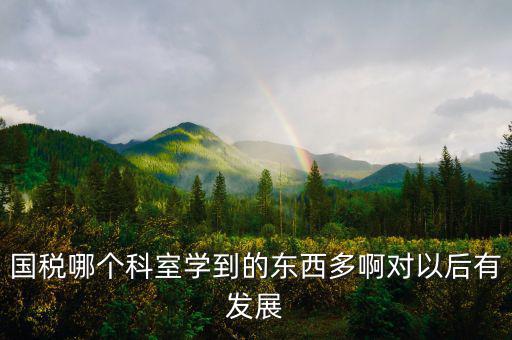 國稅有什么科室，國稅哪個科室學(xué)到的東西多啊對以后有發(fā)展