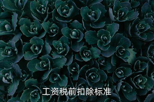 什么是稅前扣除標(biāo)準(zhǔn)，請(qǐng)問差旅費(fèi)稅前扣除標(biāo)準(zhǔn)是什么