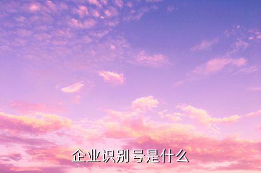 查詢公司什么納稅人識別號，納稅人識別號怎么查啊