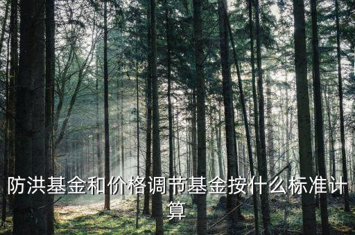 防洪基金是什么，防洪基金屬于什么科目