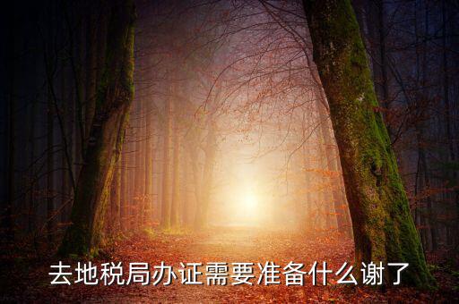 地稅局辦理什么，地稅局開(kāi)發(fā)票需要辦什么手續(xù)