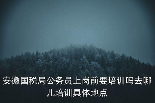 安徽國(guó)稅什么時(shí)候培訓(xùn)，安徽省稅務(wù)學(xué)校還在嗎那里的教學(xué)樓宿舍和操場(chǎng)都還在嗎沒(méi)被拆