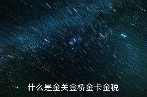什么是金關金橋金卡金稅