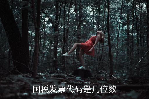 發(fā)票代碼是什么位置，國(guó)稅普票代碼是幾位數(shù)字在什么位置