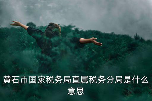 國稅直屬分局是什么局，國稅局是什么單位