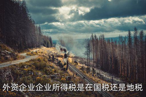 外資企業(yè)交什么稅，涉外企業(yè)應(yīng)繳些什么稅