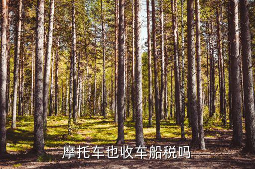 摩托車(chē)也收車(chē)船稅嗎
