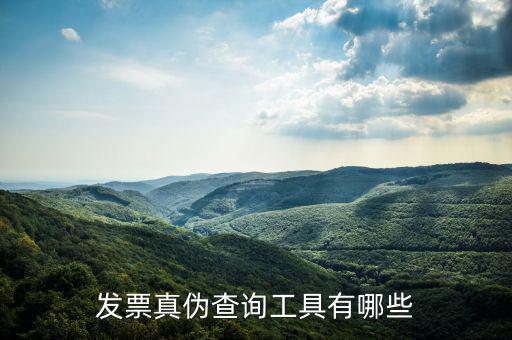 查發(fā)票用什么軟件下載，發(fā)票真?zhèn)尾樵児ぞ哂心男?/></a></span><span id=