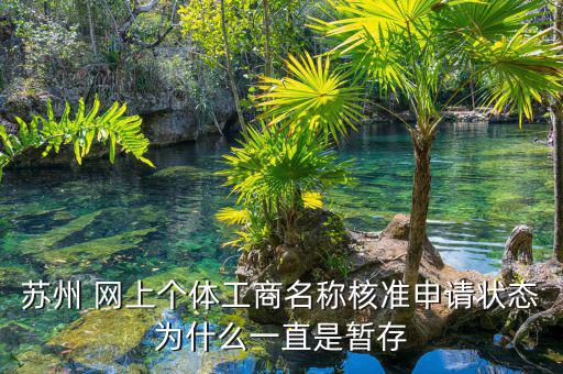 蘇州 網(wǎng)上個(gè)體工商名稱核準(zhǔn)申請狀態(tài)為什么一直是暫存