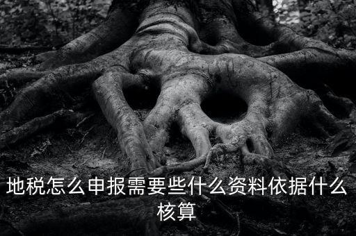 地稅根據(jù)什么申報(bào)，地稅怎么申報(bào)