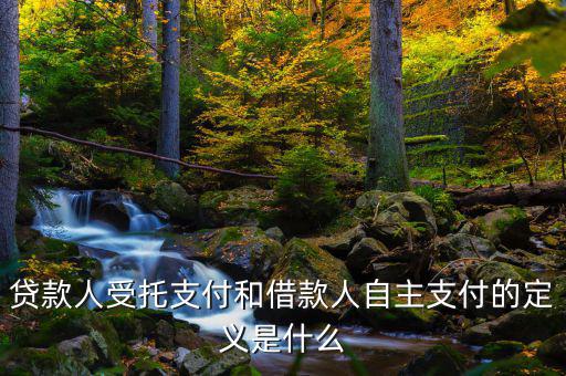 自主支出是什么，自主支出是什么意思求解釋