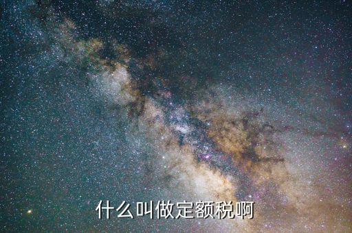 定額定稅是什么意思，什么叫做定額稅啊