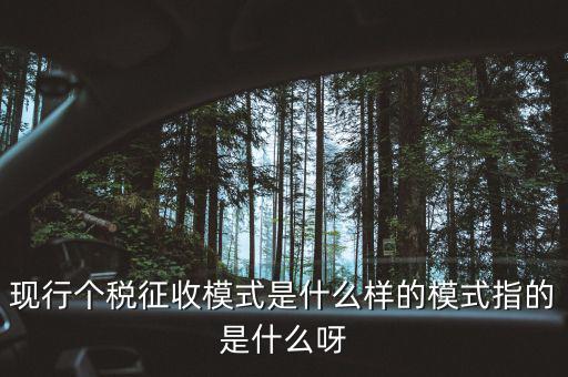 個人征稅系統(tǒng)是什么，你好補交個稅在稅局系統(tǒng)怎樣操作