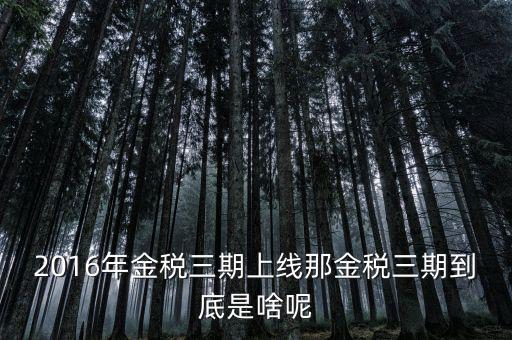 國(guó)稅金稅三期是什么意思，金稅三期是什么意思
