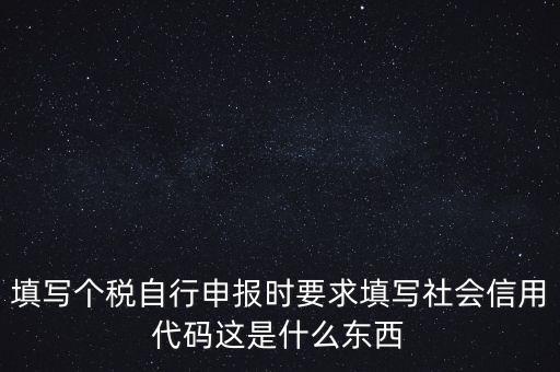 填寫(xiě)個(gè)稅自行申報(bào)時(shí)要求填寫(xiě)社會(huì)信用代碼這是什么東西