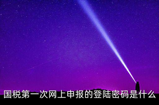 國稅第一次網上申報的登陸密碼是什么