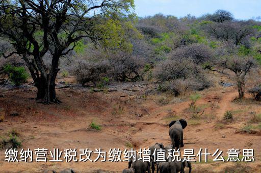 營業(yè)稅改為增值稅是什么意思，營業(yè)稅改增值稅指的是什么