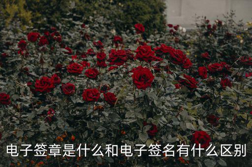國稅電子簽章什么意思，什么是電子印章