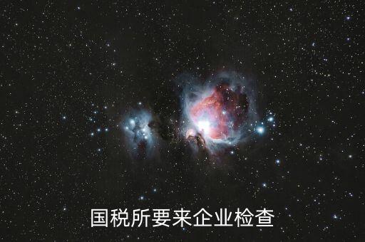 國稅督查組是做什么的，補(bǔ)交上一年的國稅國稅局把該款記入了今年的營業(yè)額中令今年的營