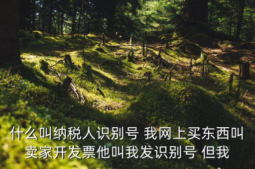 公司納稅識別號是什么意思，納稅人識別碼是什么