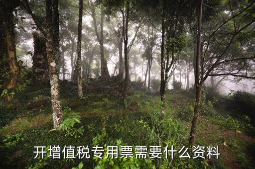 稅務(wù)開專票需要什么資料，去開增值稅專用發(fā)票需要交什么資料