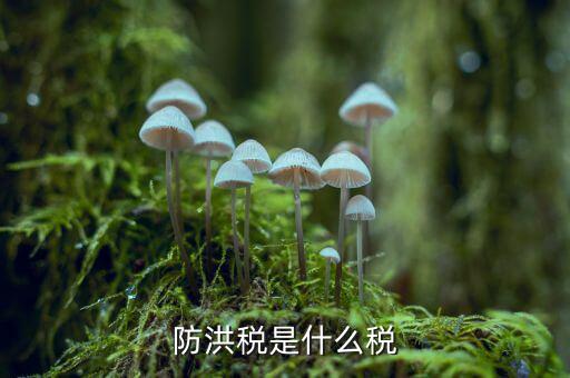 什么防洪稅，水利工程建設防洪工程應交什么稅