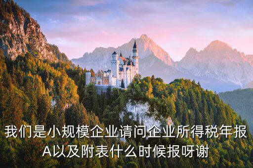 所得稅年報(bào)填什么時(shí)間，企業(yè)所得稅年報(bào)什么時(shí)候報(bào)