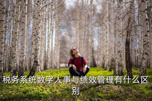 數(shù)字人事評(píng)是什么，稅務(wù)系統(tǒng)數(shù)字人事與績效管理有什么區(qū)別