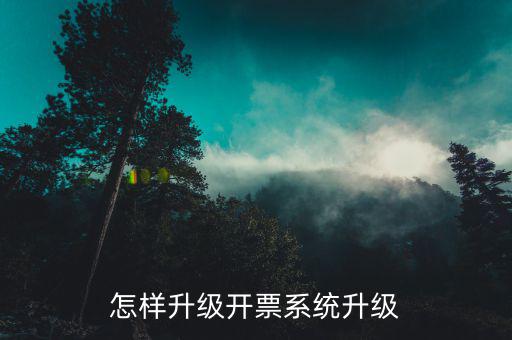 開票用什么軟件升級(jí)，怎樣升級(jí)開票系統(tǒng)升級(jí)