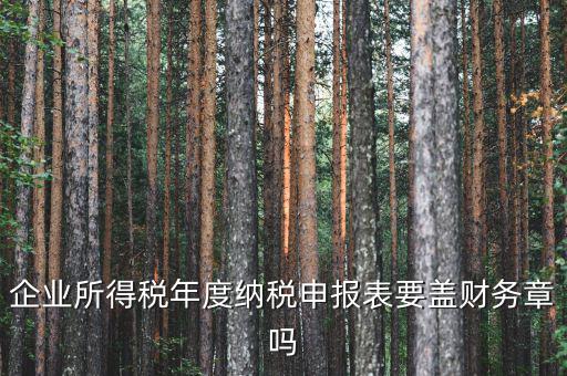 所得稅年報(bào)要蓋什么章，企業(yè)所得稅年度納稅申報(bào)表要蓋財(cái)務(wù)章嗎