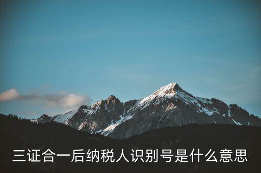 三證合一稅務(wù)識別號是什么意思，三證合一后納稅人識別號是什么意思