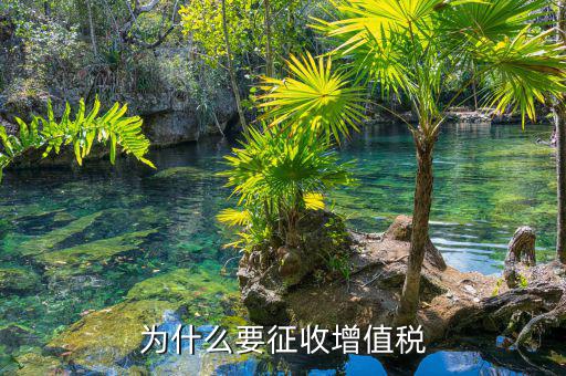 境外勞務(wù)為什么要交增值稅，為什么要交增值稅