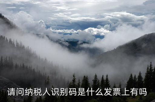 發(fā)票納稅人代碼是什么意思，請問納稅人識別碼是什么發(fā)票上有嗎
