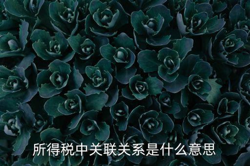 所得稅關聯(lián)表是什么意思，所得稅中關聯(lián)關系是什么意思