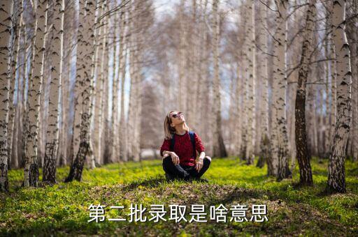 后續(xù)次批公布什么意思，高考請(qǐng)等待下一批次結(jié)果公布是什么意思