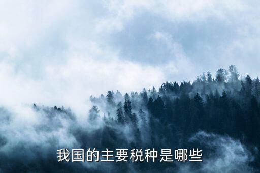 中國三大稅收是什么，中國境內(nèi)的稅收種類