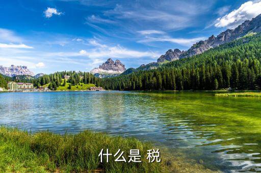印發(fā)稅是什么，什么是 稅