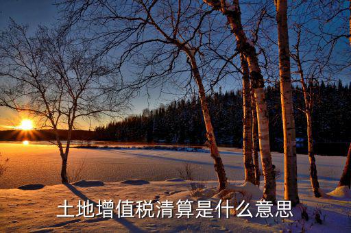 土地增值稅納稅清算什么意思，土地增值稅清算