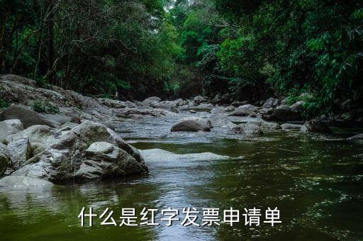 紅字申請(qǐng)單是什么意思，由銷售方申請(qǐng)開具紅字發(fā)票是什么意思