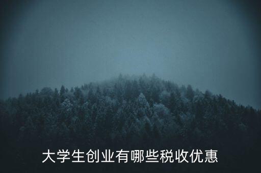 學(xué)校有什么稅收優(yōu)惠，大學(xué)生創(chuàng)業(yè)有哪些稅收優(yōu)惠