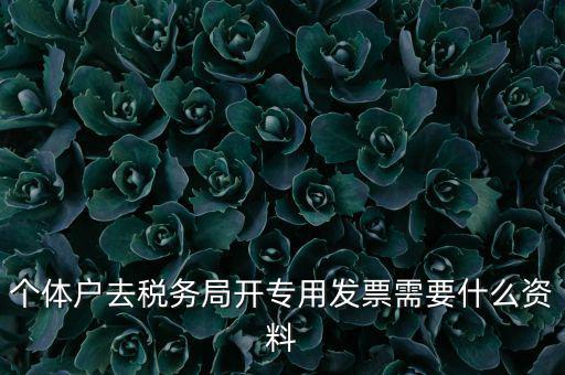 個(gè)體戶開專票需要什么，個(gè)體在國稅局開增值稅專用發(fā)票需要什么資料