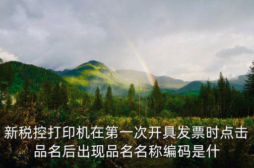 發(fā)票 商品編碼是什么，發(fā)票號碼和發(fā)票代碼是什么我的發(fā)票上只有單據(jù)編碼和貨品編號啊