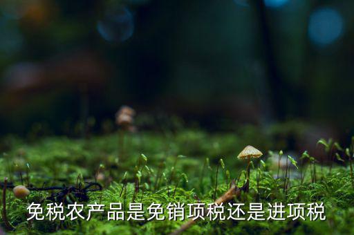 免稅農產品是免銷項稅還是進項稅