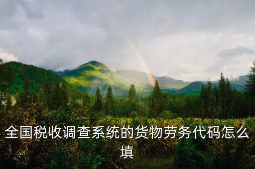 商品和勞務(wù)編碼是什么，貨物勞務(wù)代碼如何填