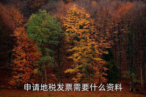 地稅局開票需要帶什么，申請地稅發(fā)票需要什么資料
