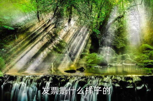 普票是什么樣子，發(fā)票是什么樣子的
