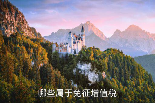 銷售什么可以免稅，哪些屬于免征增值稅