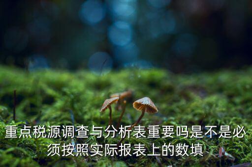重點(diǎn)稅源分析分析什么，重點(diǎn)稅源的介紹